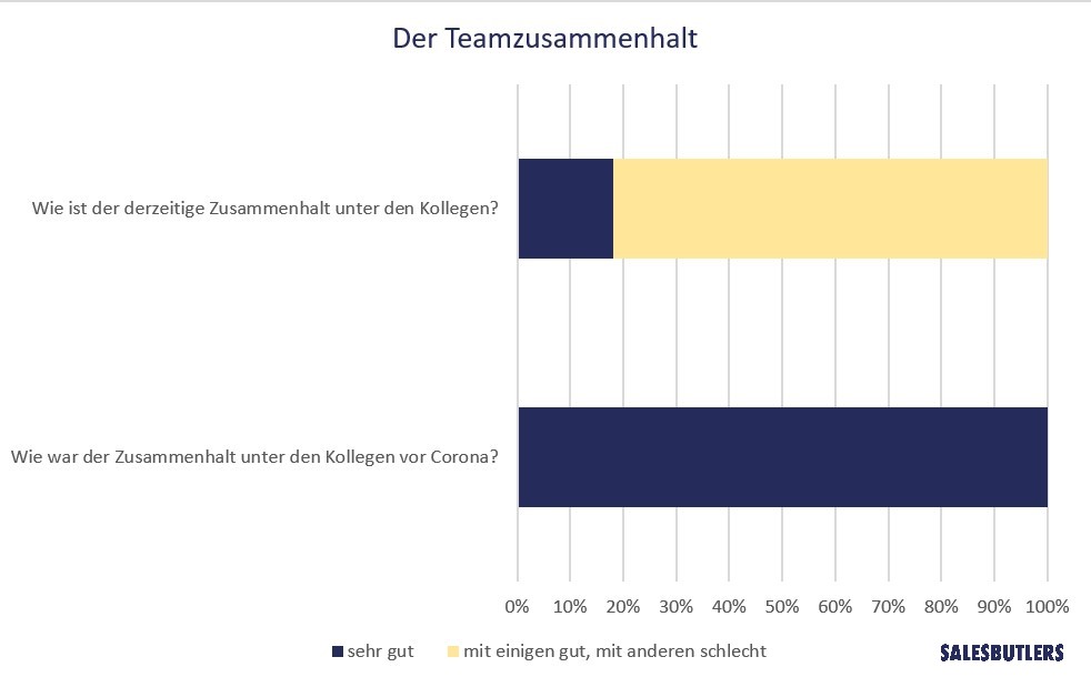 Team im Home Office während Corona Salesbutlers